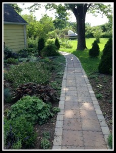 The sidewalk