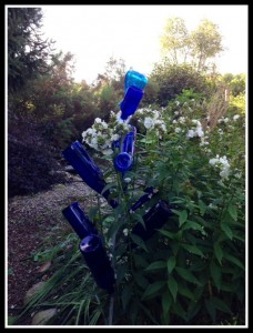 Bottle Tree