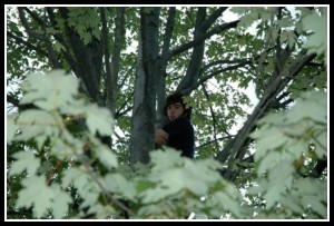 Kids love to climb trees.