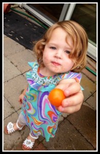 Gracie with tomato