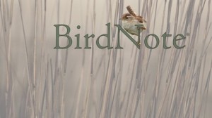 BirdNote image