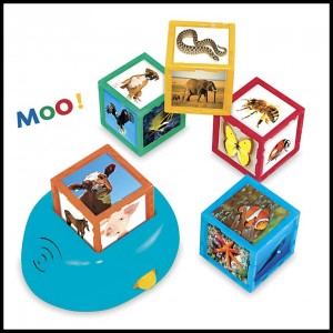 Animal cubes