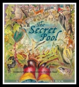 Image for The Secret Pool
