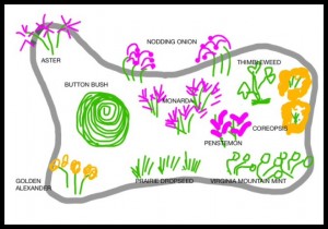 Native Garden Plan