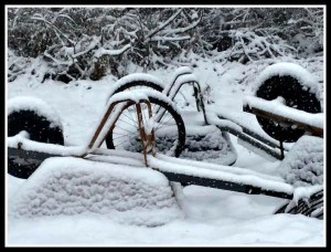 Snow and Wheelbarrows