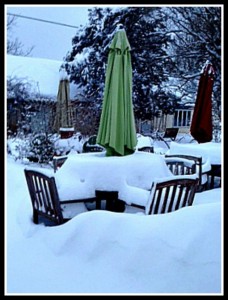 snow pic 2 2014