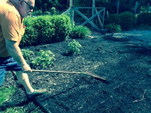 Lightly raking seed
