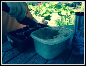 Sand into compartments
